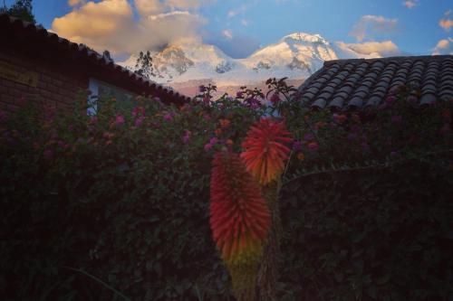 La Casita de mi Abuela