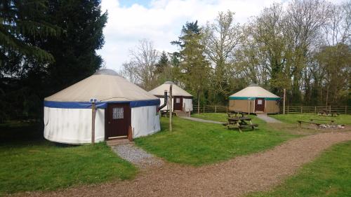 Yurtcamp Devon