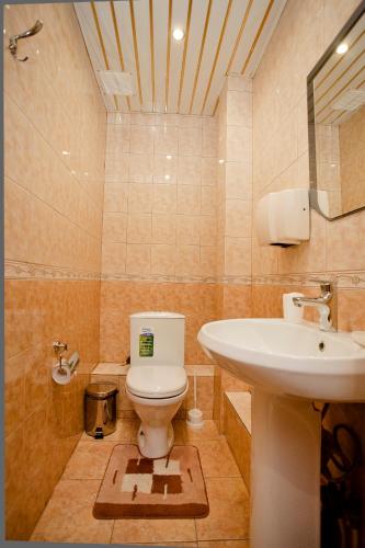 AMAKS Park Hotel - image 6