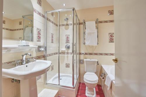 Lifestyle Hotel Carlton Ambassador - image 11