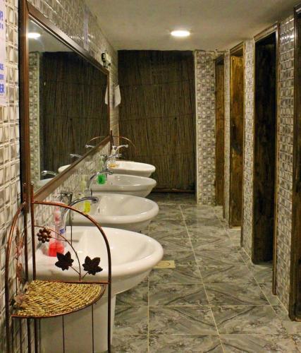 Seven Wonders Bedouin Camp