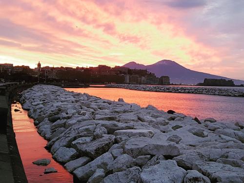 Napoli Tree - Lungomare - image 8