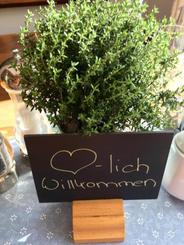 Bürger- und Berggasthaus Scheibenberg 3