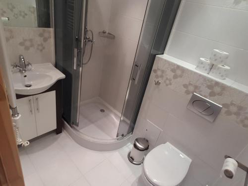 Apartament Silver in 蘭楚特