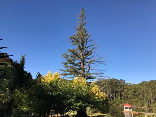 森林山林小屋度假酒店