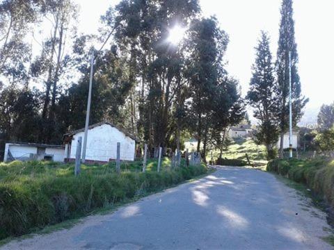 Casa En El Arbol