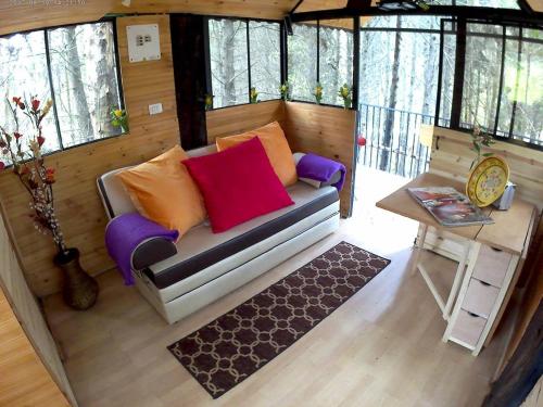 Facilities, Despierta En El Arbol Desayuno Americano a tu ritmo somos Petfriendly in Pesca