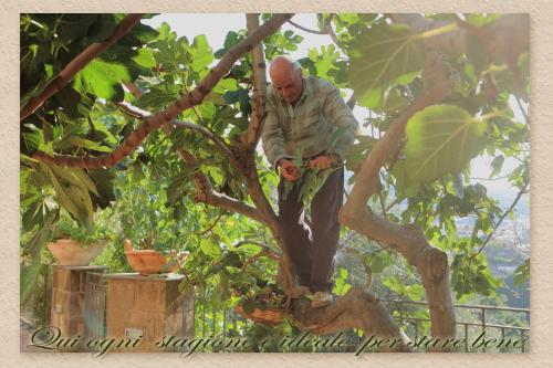 Villa Ketty Resort - image 7
