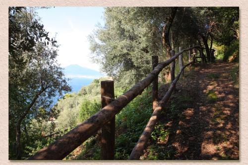 Villa Ketty Resort - image 3
