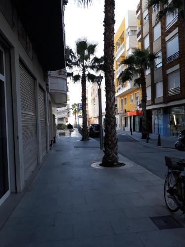 Apartamento Vacacional in Torrevieja