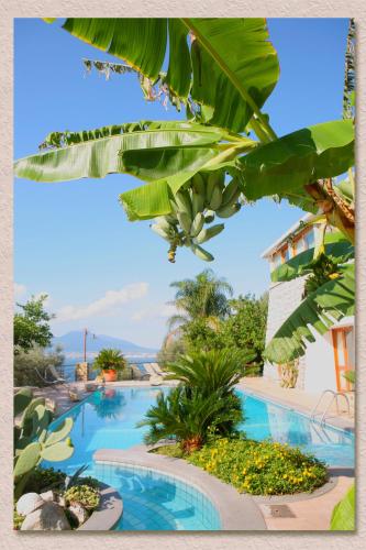 Villa Ketty Resort - image 6