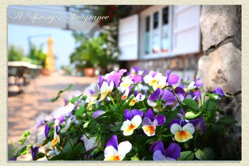 Villa Ketty Resort - image 14