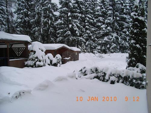 Blechleppel - Die Pension im Harz