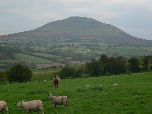 The Draen Bed and Breakfast in Брекон