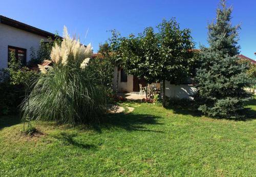 Apartment in Fažana 