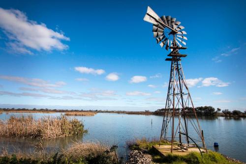Limestone Ridge in เทเลม เบนด์