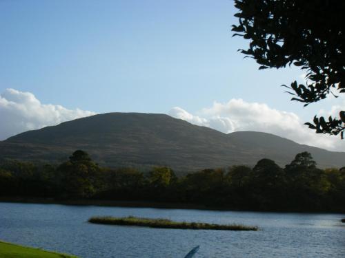 Ashfield B&B - image 4
