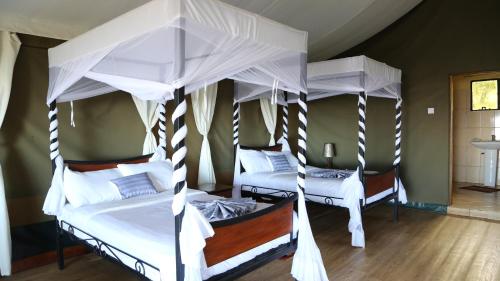 Ngorongoro Wild Camp