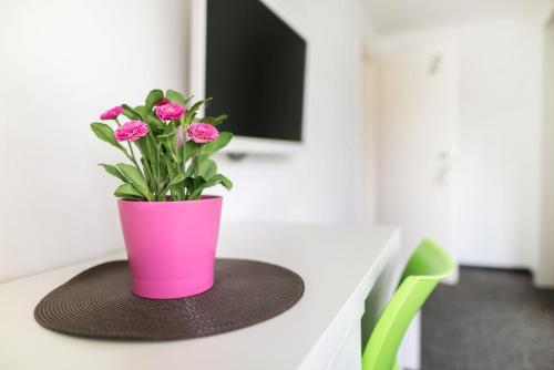 Tia Apartments and Rooms - image 3