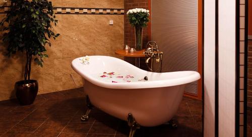 Spa, Olympia Wellness Hotel in Karlovy Vary