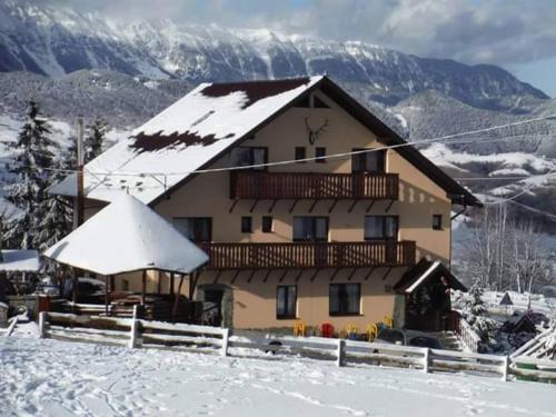 Pensiunea Edera Fundata 2021 Reviews Pictures Deals