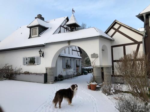 One-Bedroom House