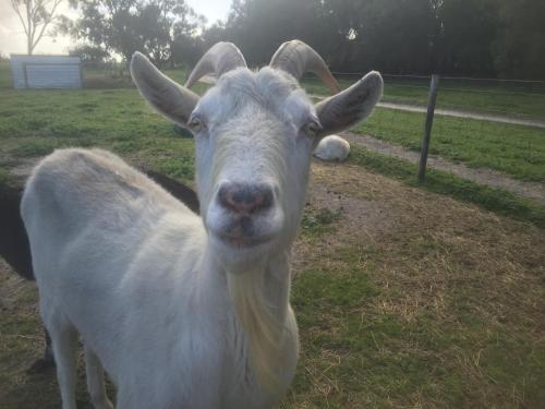 Kerriley Park FarmStay