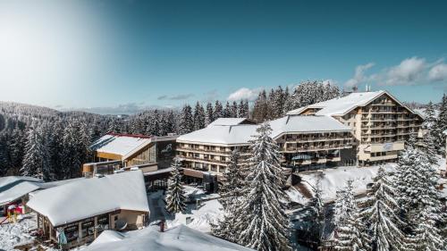 Accommodation in Pamporovo