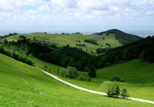 Surrounding environment, Pension Bader in Loffingen