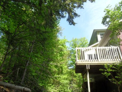 Pinebrook Motel - main image