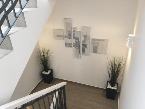 Hostal El Caprichito Marbella - image 8