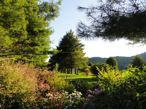 4 Seasons at Beech Mountain