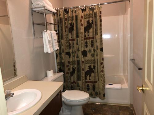 Tug Hill Resort - image 2