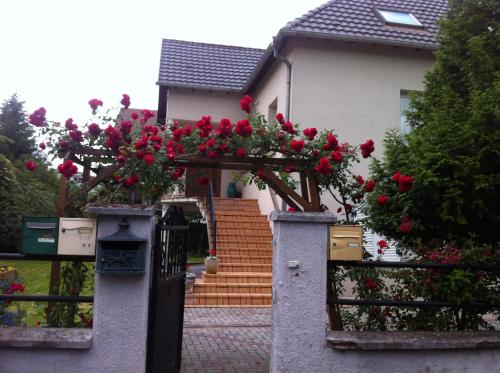 Bel Appartement en RDC proche Strasbourg Nice apartment very near Strasbourg, Strasbourg