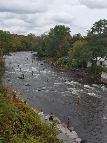 Tug Hill Resort - image 7