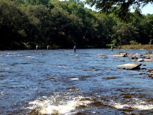Tug Hill Resort - image 8