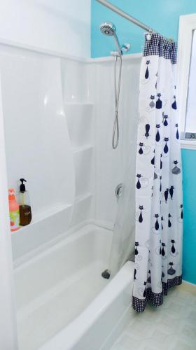 Spacious Greenlake Home minutes to UW Seattle (WA)