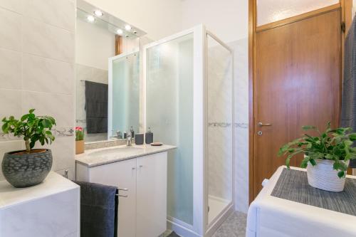 Violet Home - Loreto