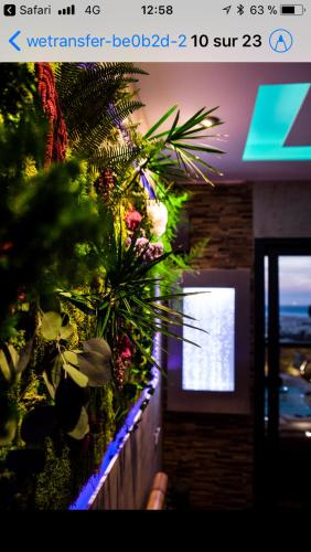 B&B Villa sensorielle in Altro