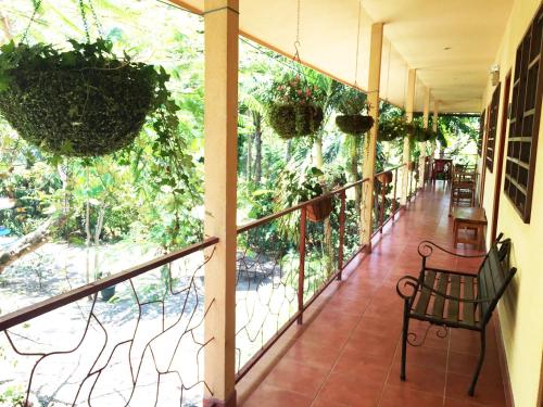 zahrada, Hotel Tropical Sands Dominical in Dominical