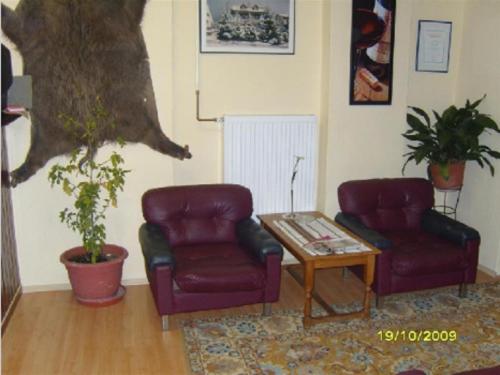 Lillafüred Kapuja Hotel - image 11