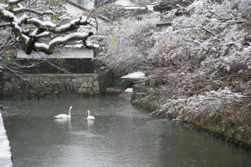 Ryori Ryokan Tsurugata