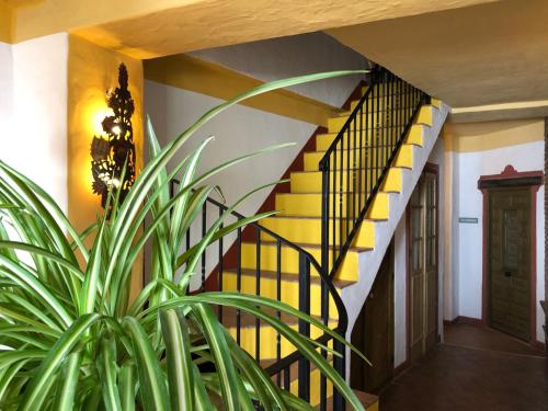 La Fructuosa - image 13