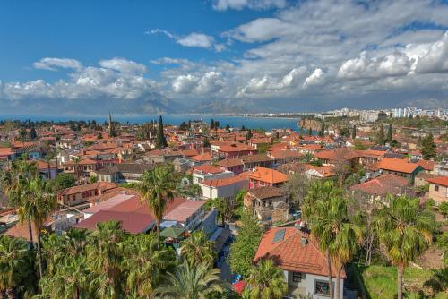 Arkk Homes