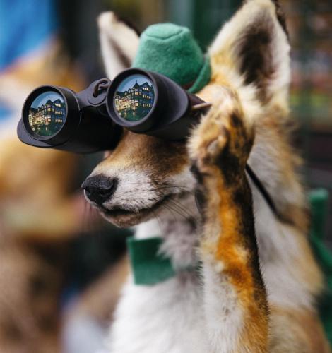 Relais & Châteaux Jagdhof Glashütte - image 12