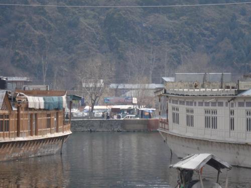 Houseboat Dogstar - image 2