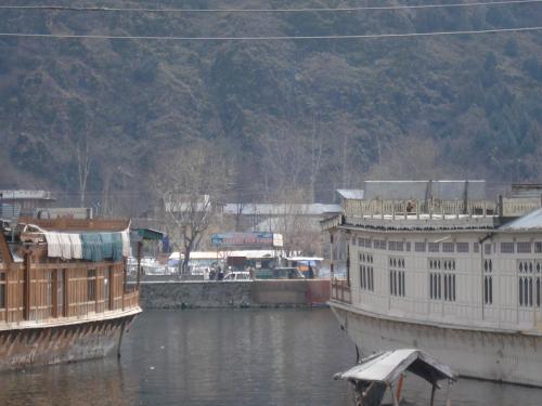 Houseboat Dogstar - image 3