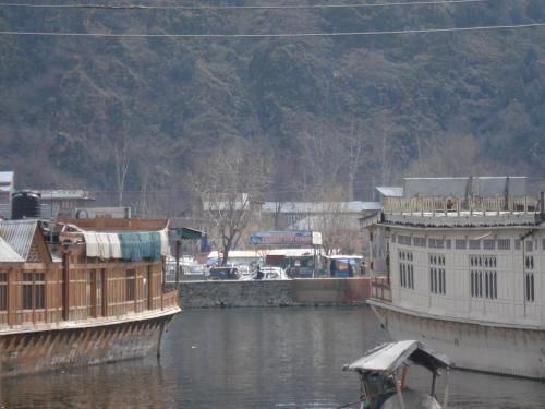 Houseboat Dogstar - image 4