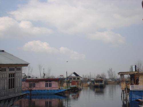 Houseboat Dogstar - image 5