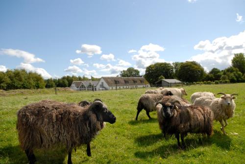 Danhostel Tisvildeleje - main image